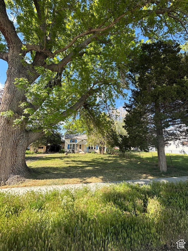 view of green lawn
