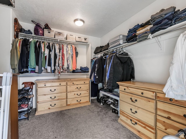 196 S Wellington Dr W, Kaysville, UT 84037 - photo 35