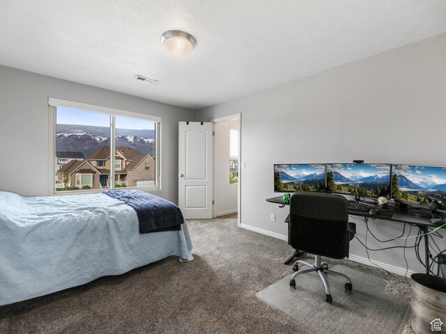 196 S Wellington Dr W, Kaysville, UT 84037 - photo 36