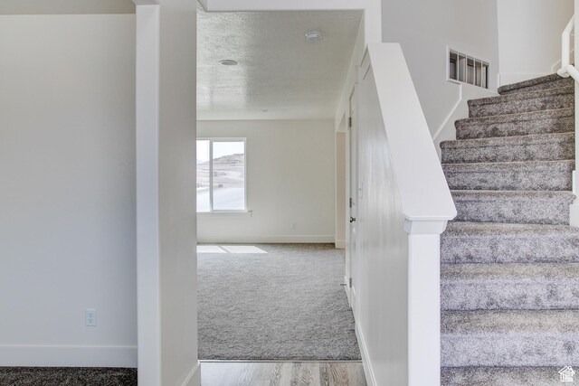 362 N 2350 E Unit 10, Spanish Fork, UT 84660 - stairway with carpet, baseboards, wood finished floors, and a textured ceiling