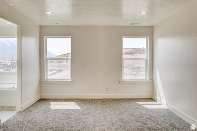 362 N 2350 E Unit 10, Spanish Fork, UT 84660 - carpeted empty room with a textured ceiling, plenty of natural light, and baseboards