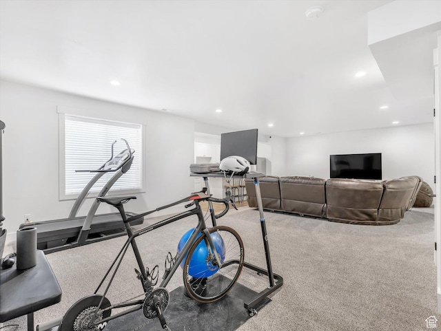 11896 S Verde View Cv, Riverton, UT 84065 - exercise room with recessed lighting and carpet flooring