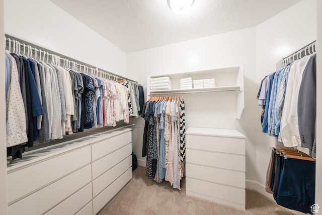 spacious closet featuring light carpet