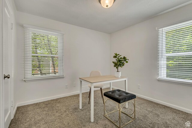 1423 Cahoon St, Ogden, UT 84401 - photo 17