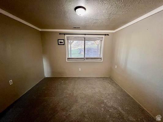 1204 Nashua Cir, Soda Springs, ID 83276 - carpeted spare room with a textured ceiling and crown molding