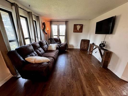 1204 Nashua Cir, Soda Springs, ID 83276 - living room with a textured ceiling, baseboards, and wood finished floors
