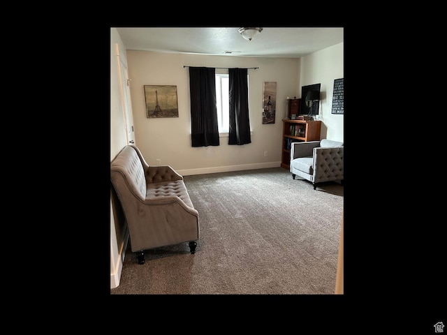 living area featuring baseboards and carpet floors