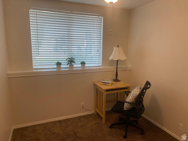 8027 W Copperfield Pl S # 12, Magna, UT 84044 - office featuring carpet floors and baseboards