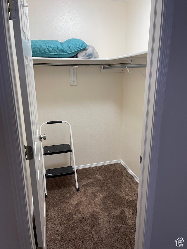 8027 W Copperfield Pl S # 12, Magna, UT 84044 - spacious closet featuring carpet floors