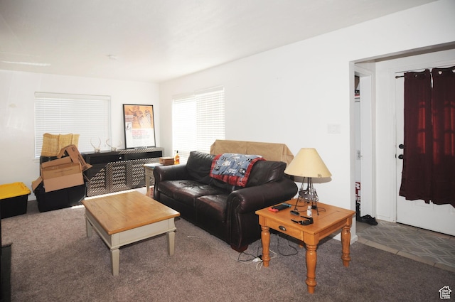 view of carpeted living room