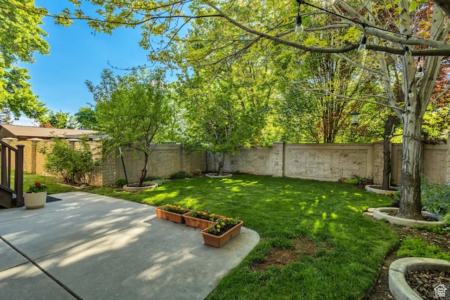 view of yard with a patio