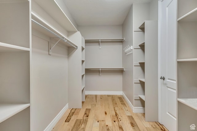 walk in closet featuring light wood finished floors