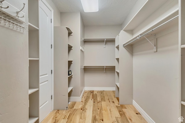 spacious closet featuring light wood-style flooring