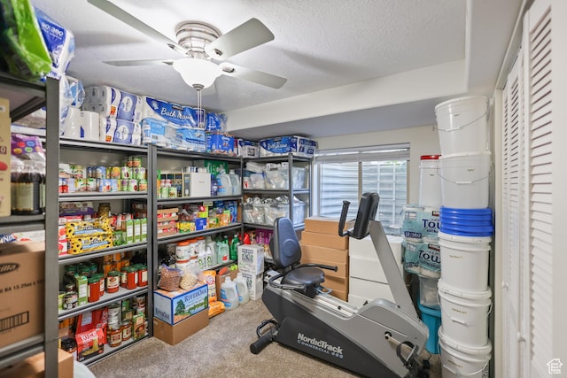 storage with a ceiling fan