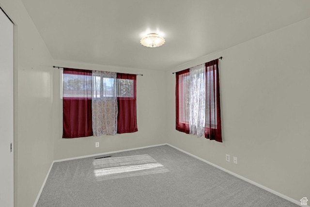 spare room with carpet flooring, baseboards, and plenty of natural light