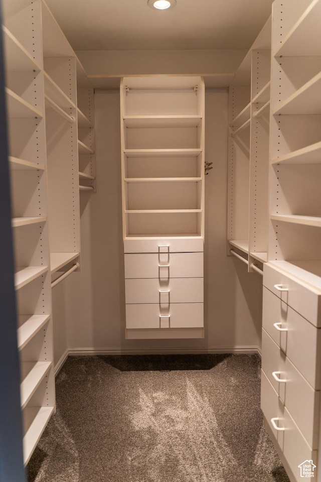 spacious closet with dark carpet