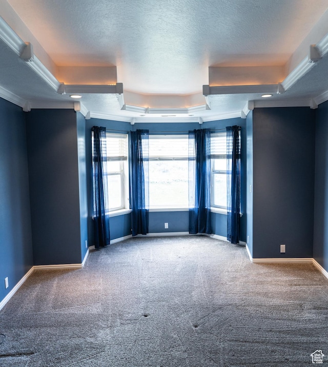 spare room featuring a tray ceiling, carpet floors, ornamental molding, a textured ceiling, and baseboards