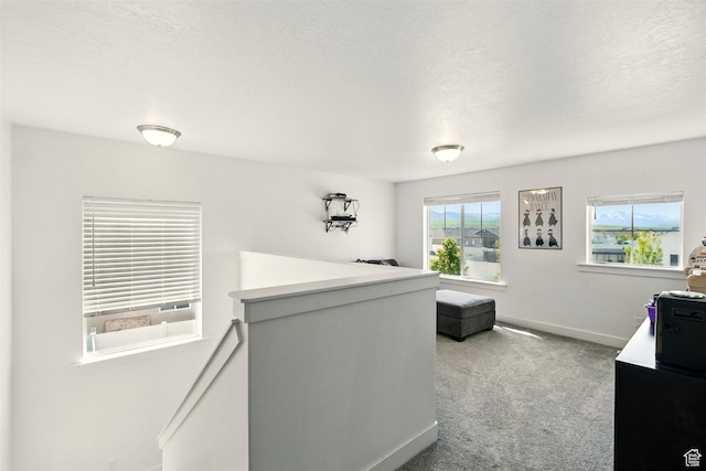 home office with carpet flooring, baseboards, and a textured ceiling
