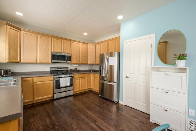 kitchen featuring stainless steel appliances, recessed lighting, a sink, and dark wood-type flooring