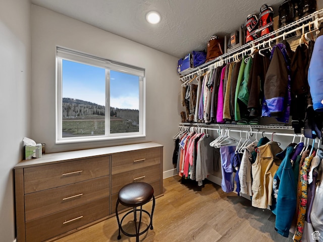 310 N N Hwy Unit 22A, Brian Head, UT 84719 - spacious closet with light wood-style floors