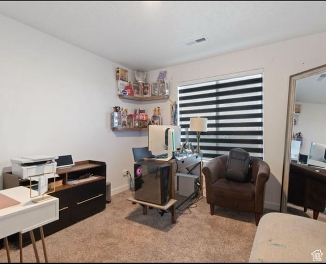 8578 W Bowie Dr, Magna, UT 84044 - office with carpet floors and baseboards