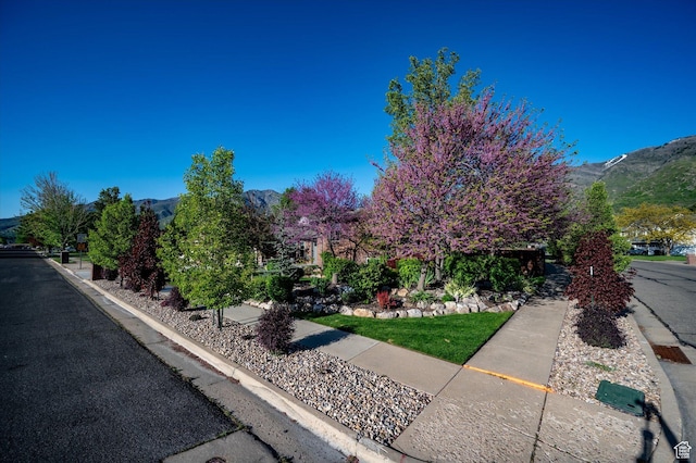 view of property exterior with a mountain view