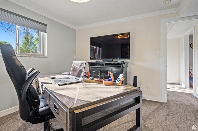 carpeted office space featuring ornamental molding and baseboards