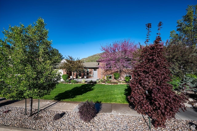 view of grassy yard