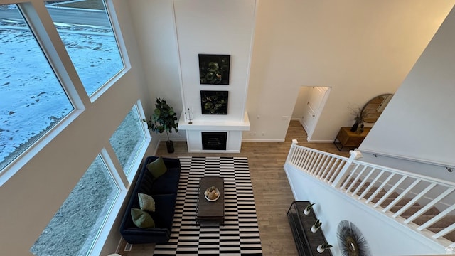 hall featuring a high ceiling, plenty of natural light, wood finished floors, and baseboards
