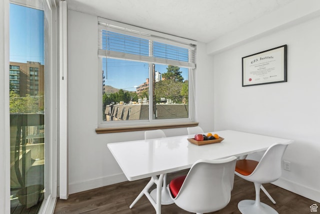 131 E 1st Ave N Unit 305, Salt Lake City, UT 84103 - dining room featuring baseboards and dark wood finished floors