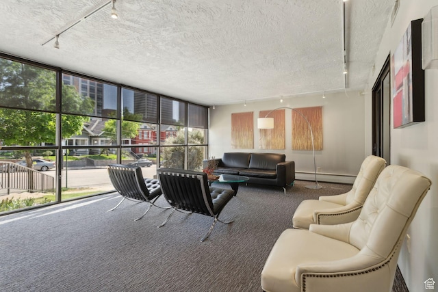 131 E 1st Ave N Unit 305, Salt Lake City, UT 84103 - carpeted living room featuring track lighting, baseboard heating, and a textured ceiling