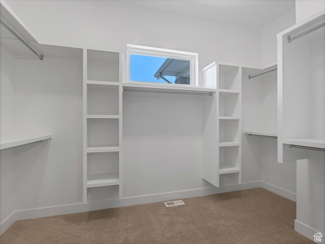 walk in closet featuring carpet floors