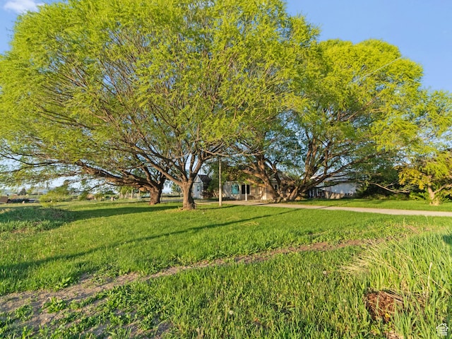 10045 W 12000 N, Bothwell, UT 84337 - view of yard