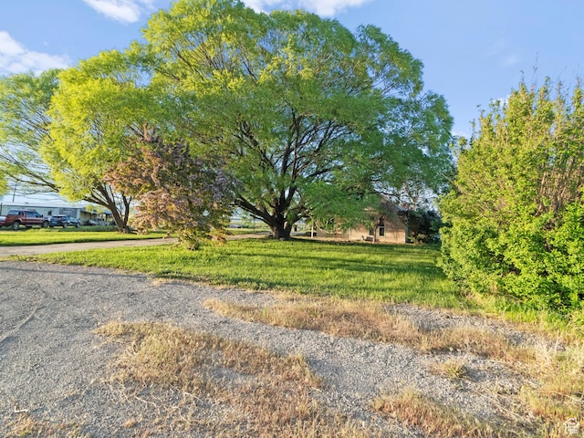 10045 W 12000 N, Bothwell, UT 84337 - view of yard