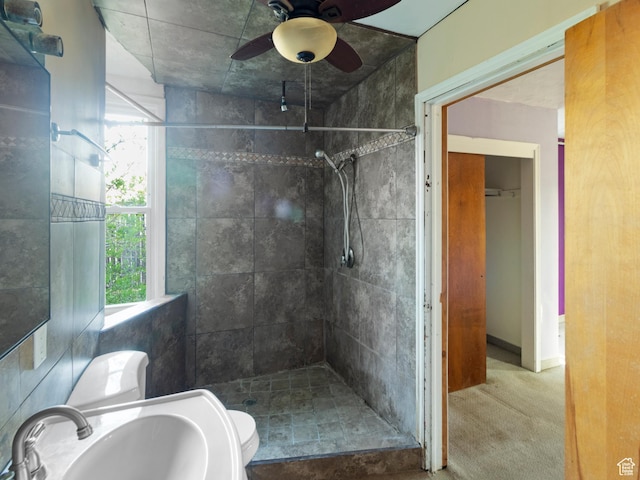 10045 W 12000 N, Bothwell, UT 84337 - bathroom with a sink, a stall shower, a ceiling fan, and toilet