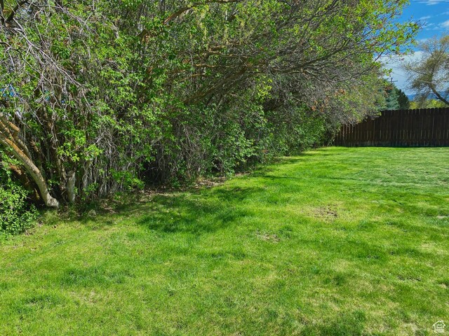271 S Court St W, Soda Springs, ID 83276 - view of yard