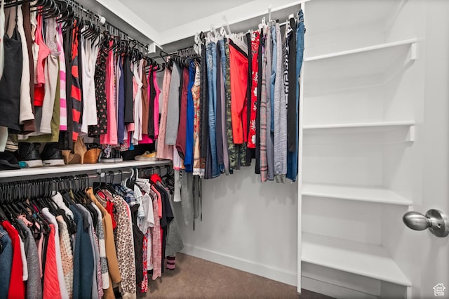 6616 W 7735 S, West Jordan, UT 84081 - walk in closet with carpet flooring