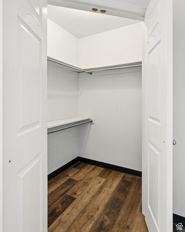 710 W 1350 S, Cedar City, UT 84720 - walk in closet with dark wood-style flooring