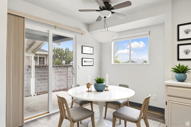 710 W 1350 S, Cedar City, UT 84720 - dining room featuring wood finished floors, plenty of natural light, and a ceiling fan