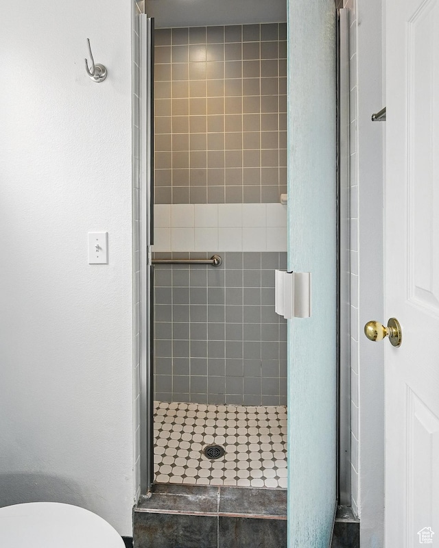 710 W 1350 S, Cedar City, UT 84720 - bathroom with a stall shower and toilet