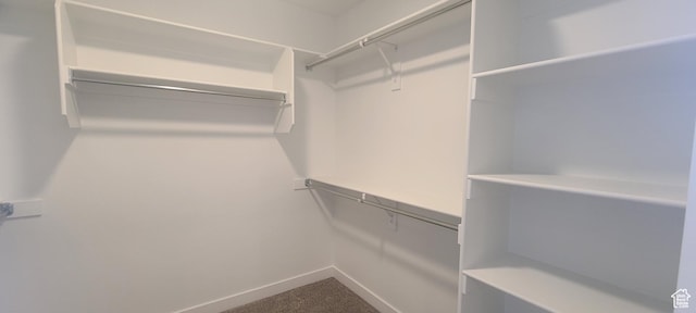 3578 W 4835 S Lot 13, Roy, UT 84067 - walk in closet featuring carpet flooring