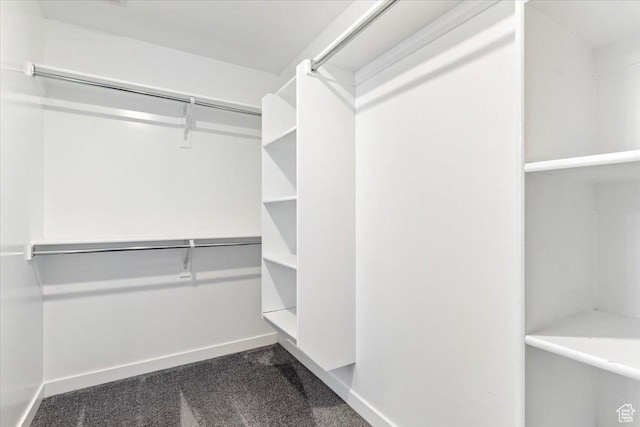 5621 W Stillwell Ln S, Herriman, UT 84096 - spacious closet featuring carpet