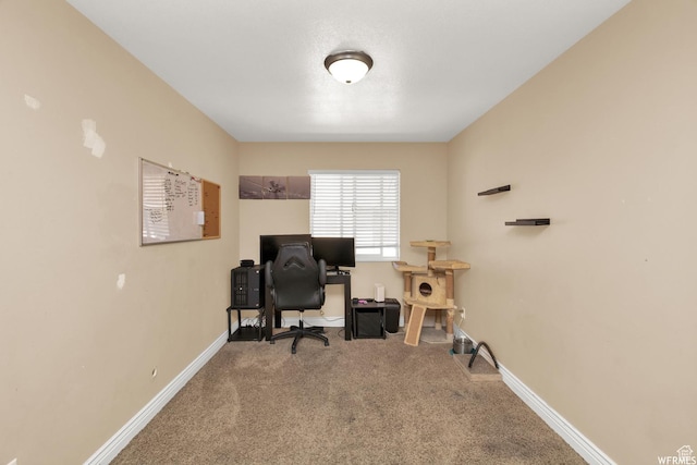 855 W 350 N, Tremonton, UT 84337 - carpeted office featuring baseboards