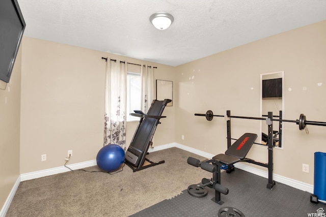 855 W 350 N, Tremonton, UT 84337 - exercise area featuring baseboards and carpet flooring