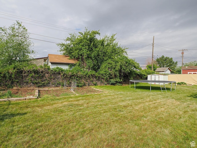 view of yard featuring a trampoline, a storage shed, and an outbuilding
