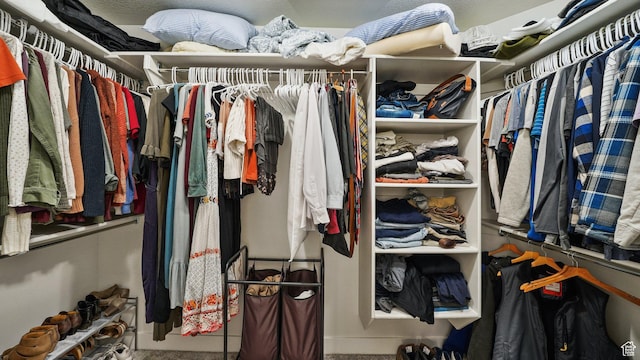 view of spacious closet