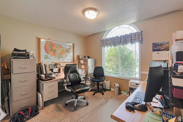 1186 E 470 S, Payson, UT 84651 - office area with a textured ceiling, carpet, and baseboards