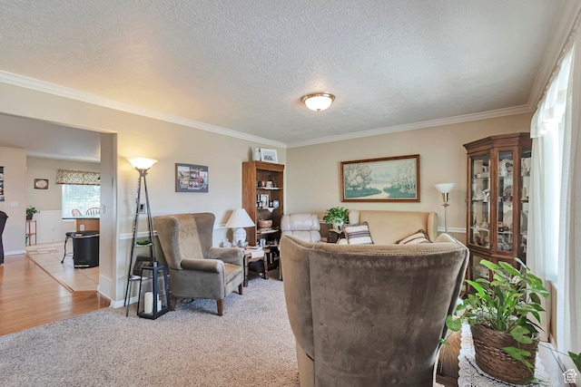 1186 E 470 S, Payson, UT 84651 - living room with crown molding, light colored carpet, a textured ceiling, and baseboards