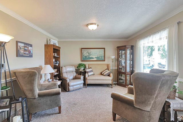 1186 E 470 S, Payson, UT 84651 - carpeted living room with crown molding and a textured ceiling