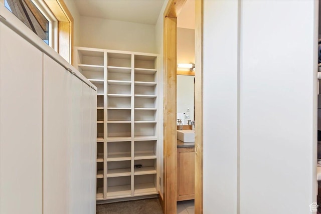 1108 N Lakeside Ct, Eden, UT 84310 - view of spacious closet